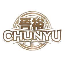 浙江队